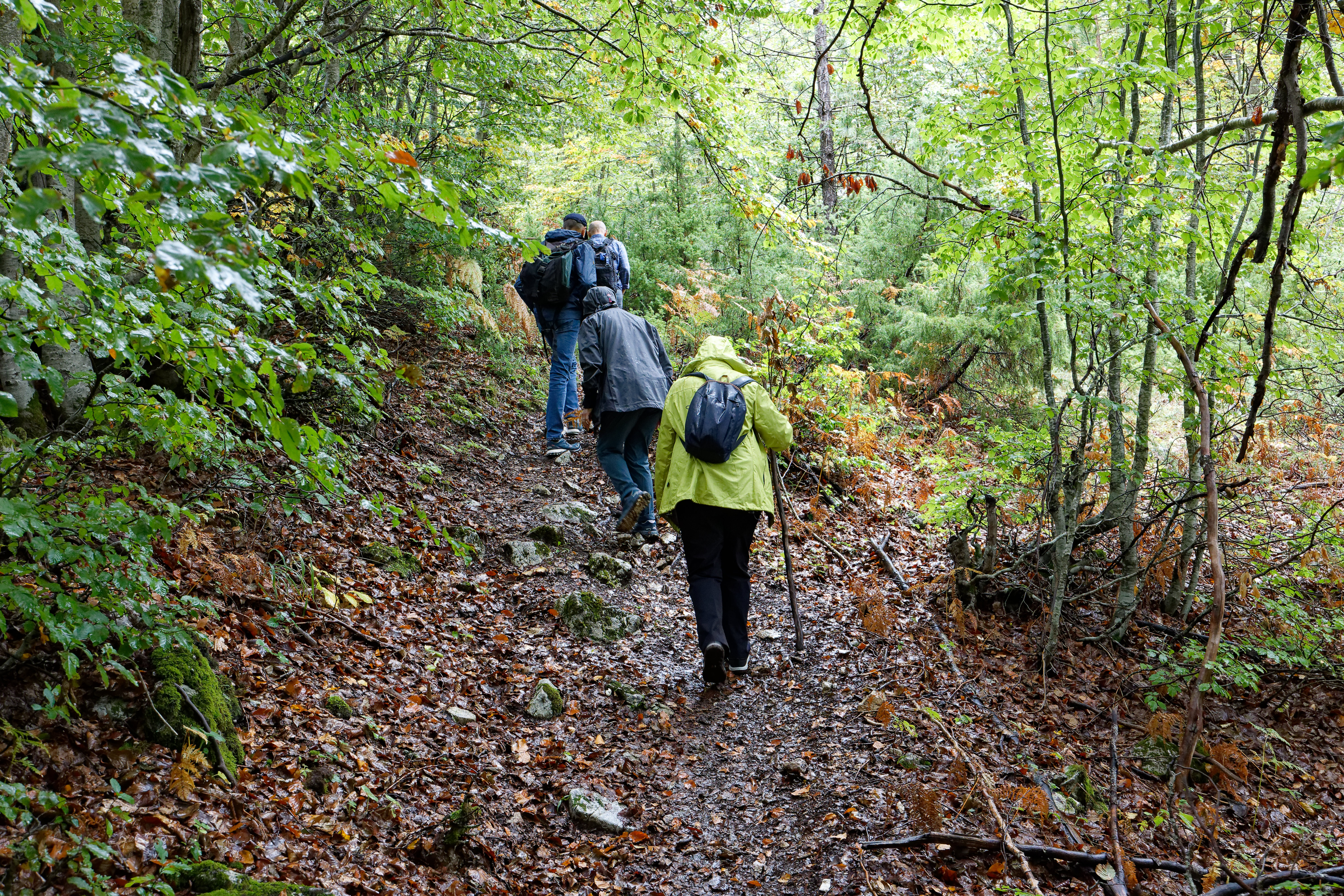 Randonnée au parc national de Llogara